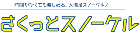 時間がなくても楽しめる、大満足スノーケル!