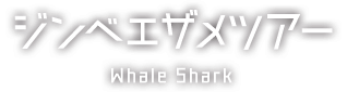 ジンベエザメツアー