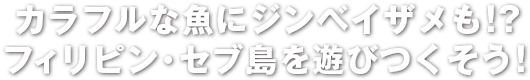 カラフルなにジンベエザメも!?フィリピン・セブ島を遊びつくそう!